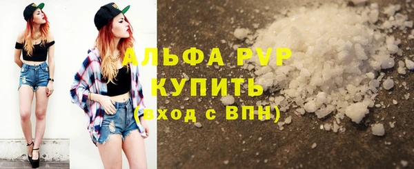 прущие грибы Покачи